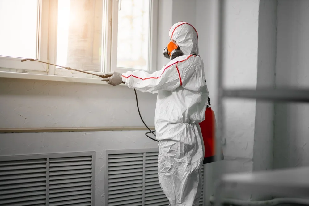 Professional mold remediation services in Winfield, MO